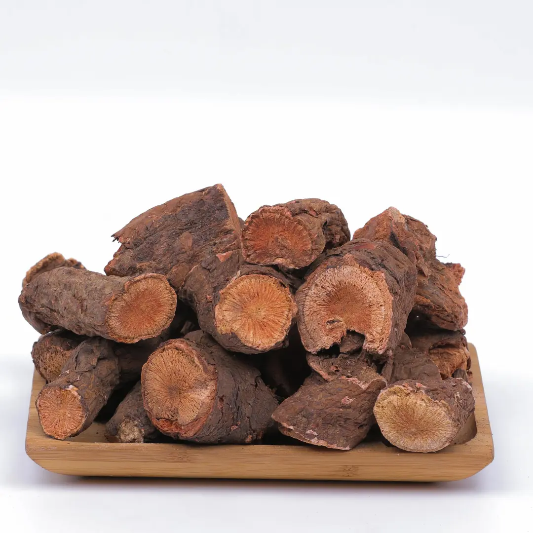Doğal uçkun (ışkın) kökü